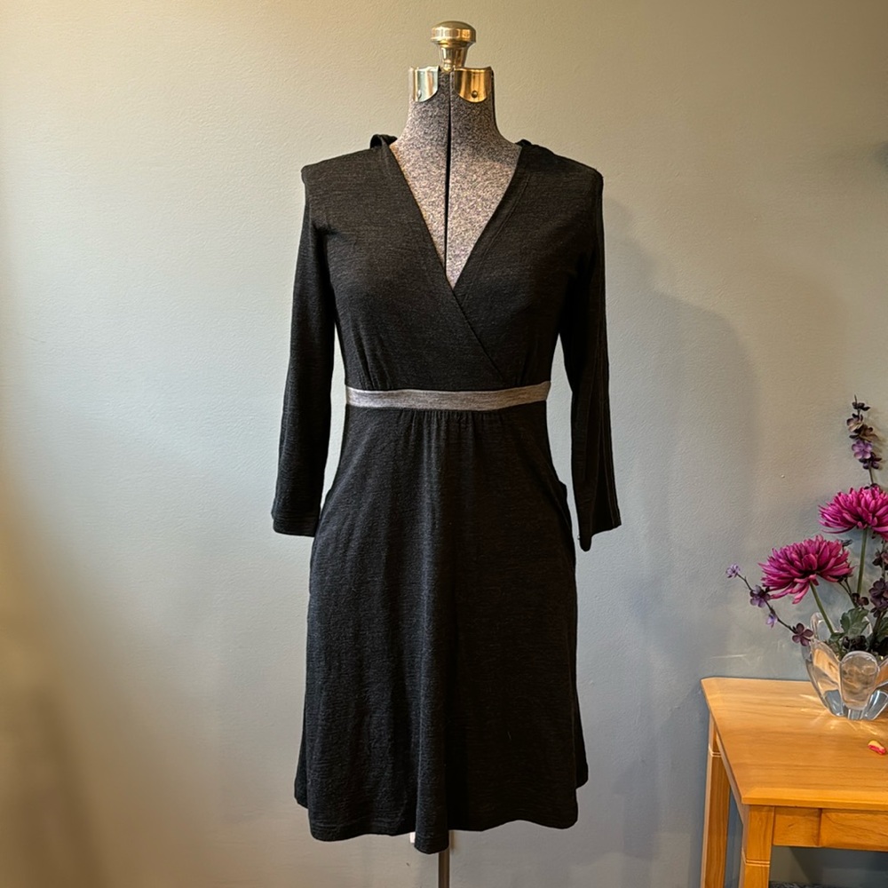 Ibex Merino Hooded Dress